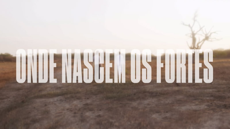 Resumo da novela Onde Nascem os Fortes - Globo