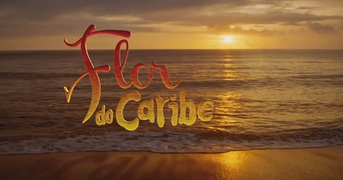 Resumo Flor Do Caribe Ltimo Cap Tulo