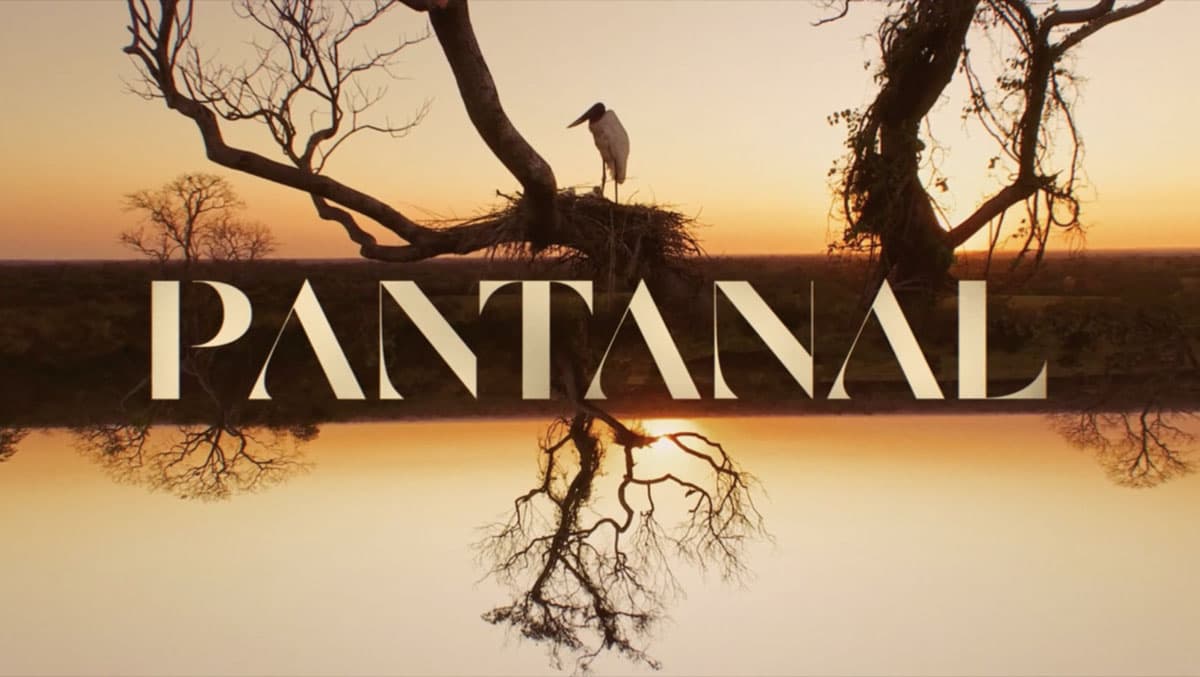 Logo oficial de Pantanal, novela das nove da Globo.