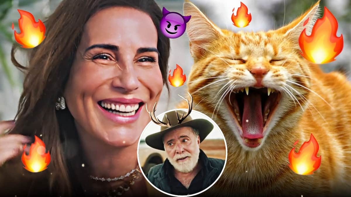 É uma imagem engraçada onde Irene aparece sorrindo para um gato de boca aberta, e várias chamas ao redor. Uma bola com a imagem de Antônio La Selva com chifres aparece no centro da imagem.