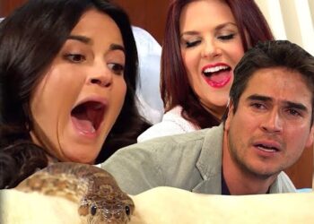 A Gata: Gisele tenta matar Esmeralda no leito do hospital com cobra venenosa e Paulo se desespera: “Mordeu ela”