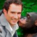 Como assim? Novela que tem chimpanzé como protagonista ganha força para substituir Mulheres de Areia; saiba qual