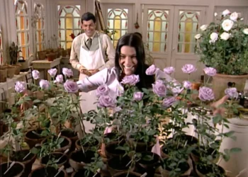 O amor de Rafael e Serena faz brotar uma nova espécie de rosa, e os dois se emocionam: “A primeira rosa desabrochou, a rosa Serena”