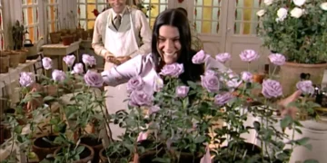 O amor de Rafael e Serena faz brotar uma nova espécie de rosa, e os dois se emocionam: “A primeira rosa desabrochou, a rosa Serena”