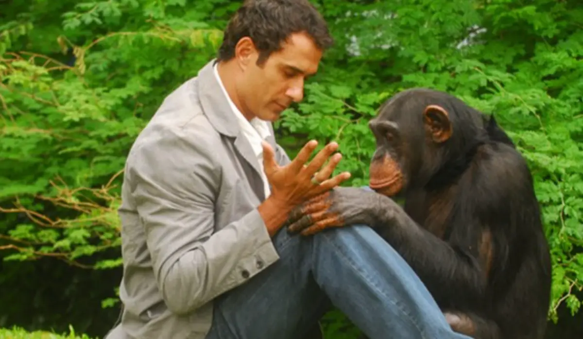 Dênis (Marcos Pasquim) e o chimpanzé Xico em cena de Caras & Bocas (Foto: Divulgação/TV Globo)