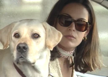 História de Amor: Tomada pelo ciúme, Paula abandona o cachorro de Carlos na rua para não ter que dividir a atenção do marido