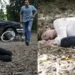 Resumo de Além do Tempo: Lívia se distrai np celular e é atropelada pelo carro de Felipe: “Cuidado!”